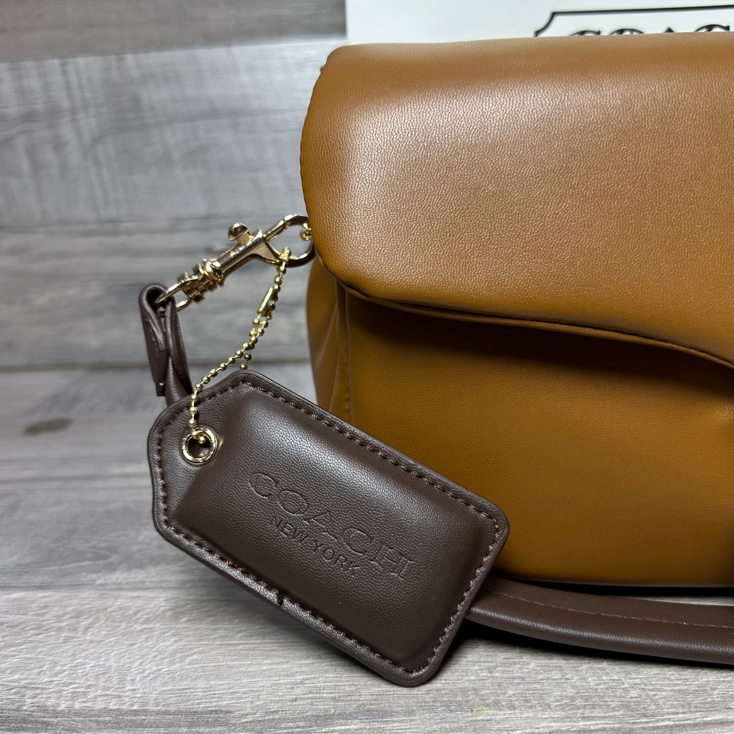 Coach Classic Brown bags N3